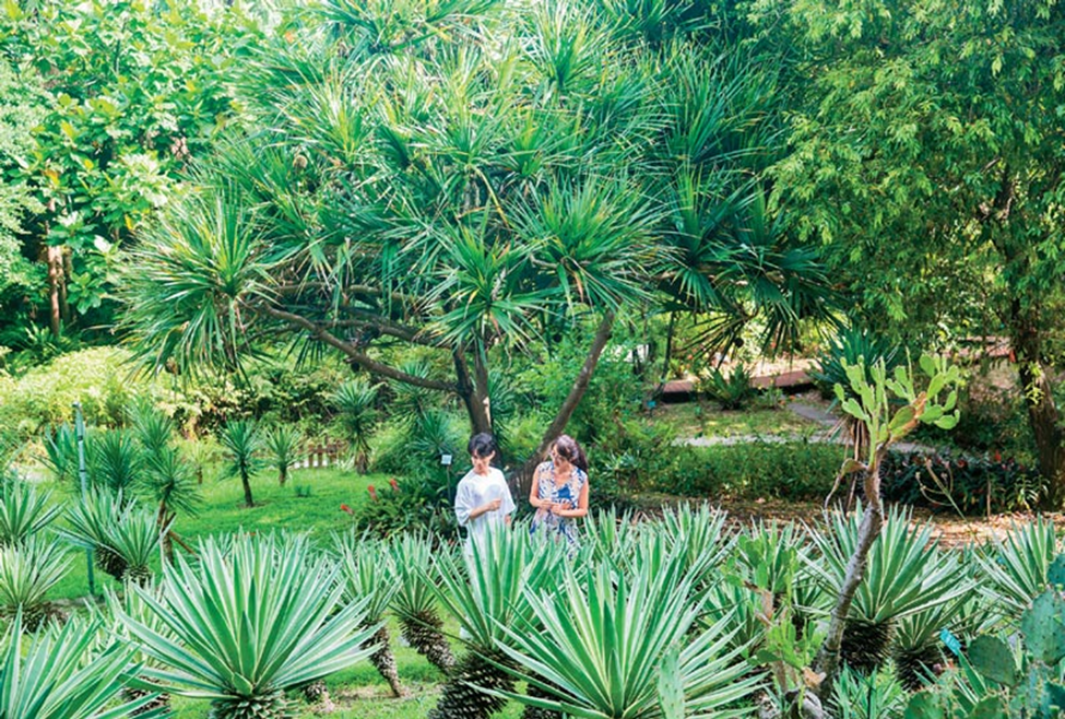 台北植物園展示多種珍貴植物，遊客遊憩之餘也可親近自然生態。